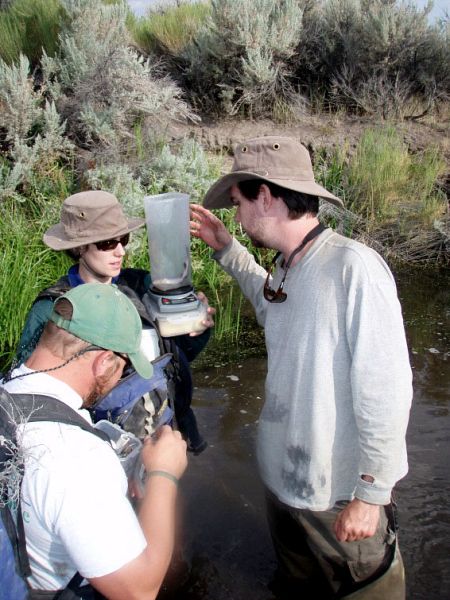 Amnis Opes Fish and Ecological Studies